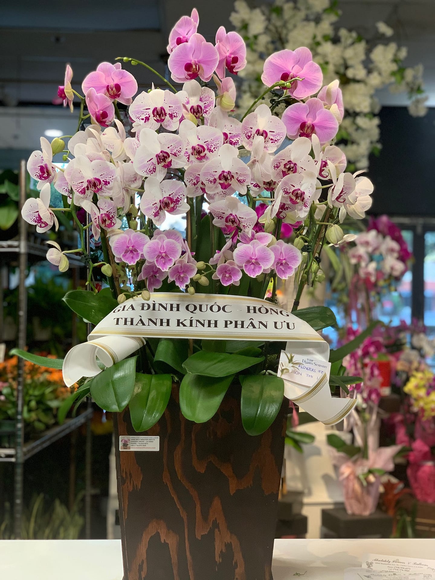 Funeral Orchid 02 Kimanh Flowers