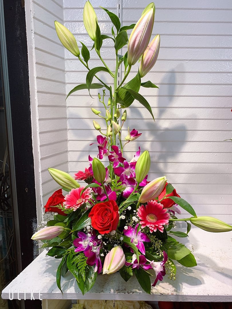 All Occasion Arrangement #09