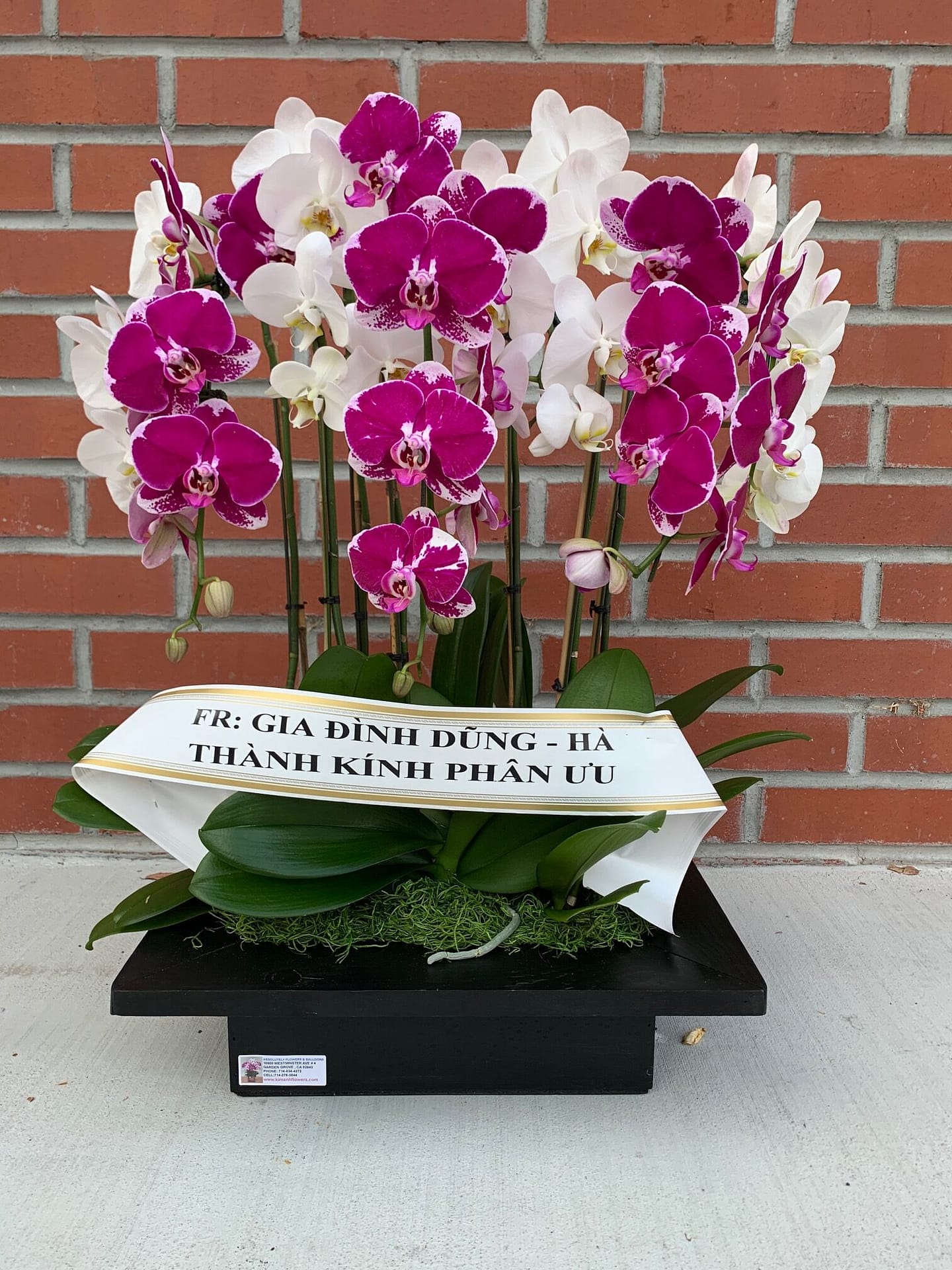 Funeral Orchid 01 Kimanh Flowers